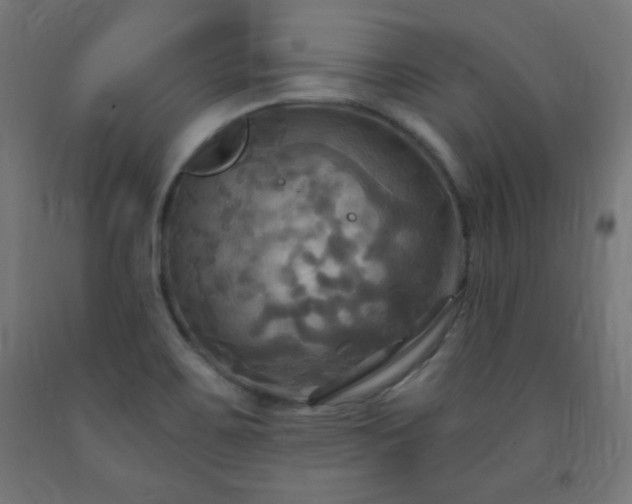 X0000093251467200710031553