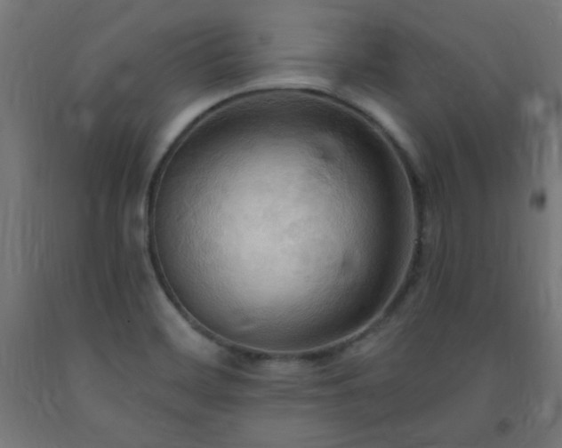 X0000093251468200710031553