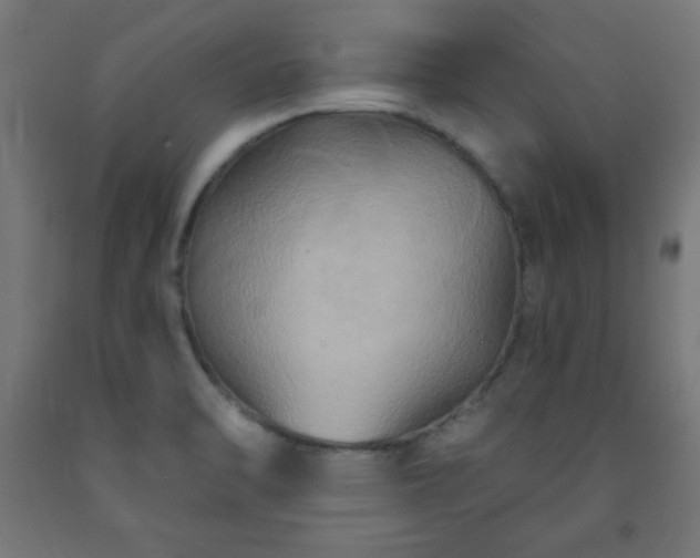 X0000093251470200710031553