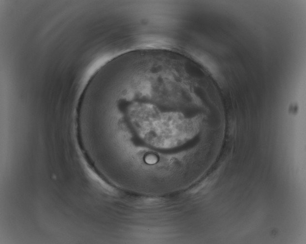 X0000093251471200710031553