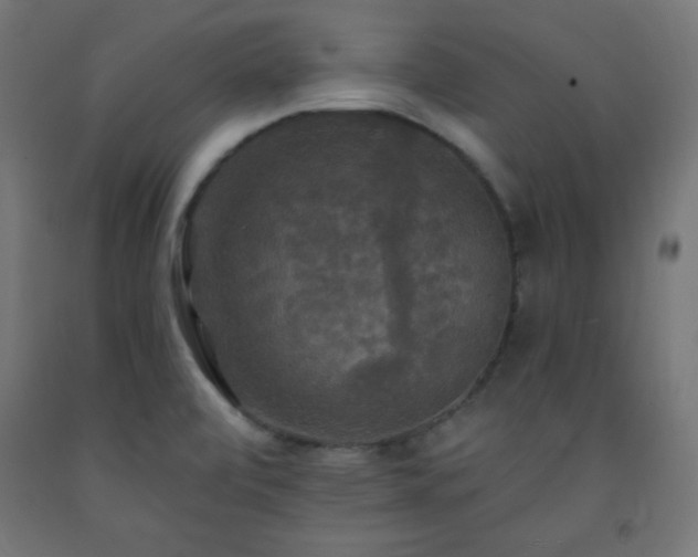 X0000093251472200710031553