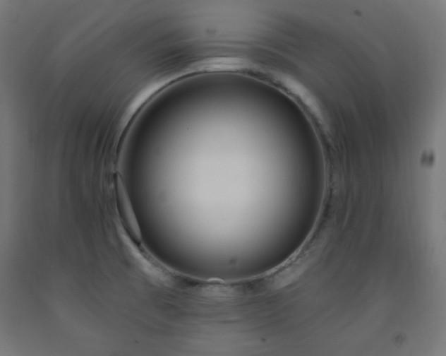 X0000093251473200710031553