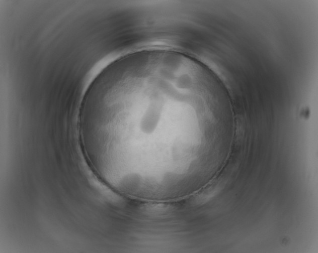 X0000093251474200710031553