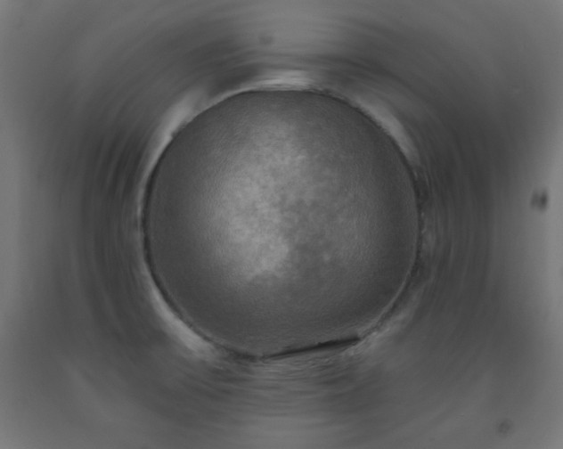 X0000093251475200710031553