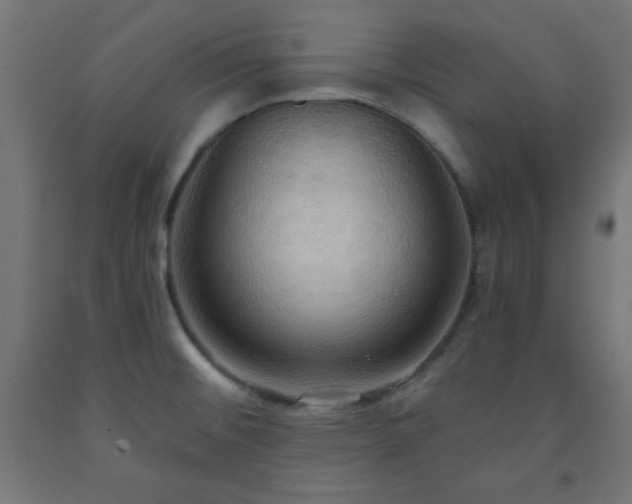 X0000093251476200710031553