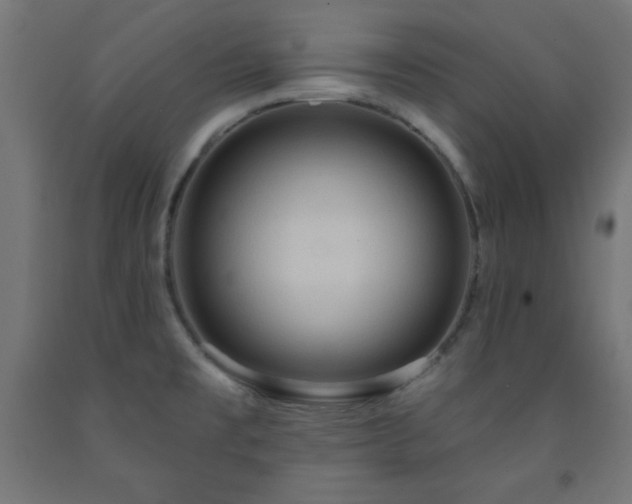 X0000093251477200710031553