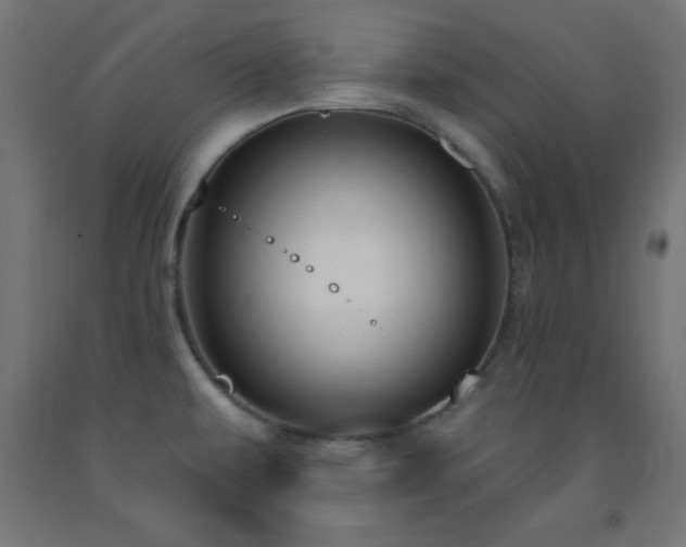 X0000093251479200710031553