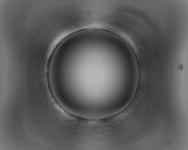 X0000093251480200710031553