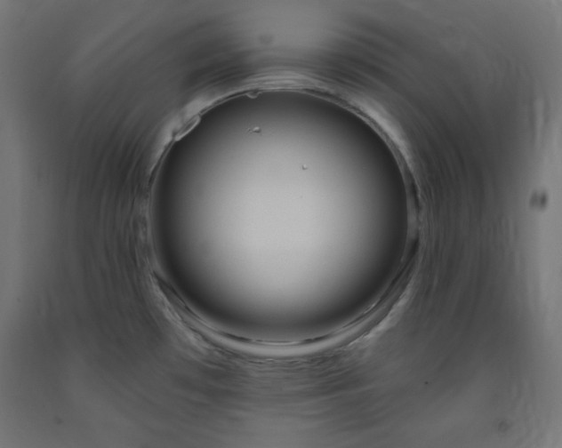 X0000093251481200710031553