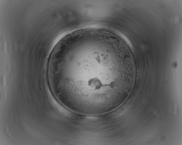 X0000093251483200710031553