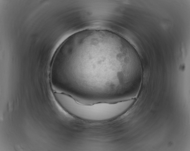 X0000093251484200710031553