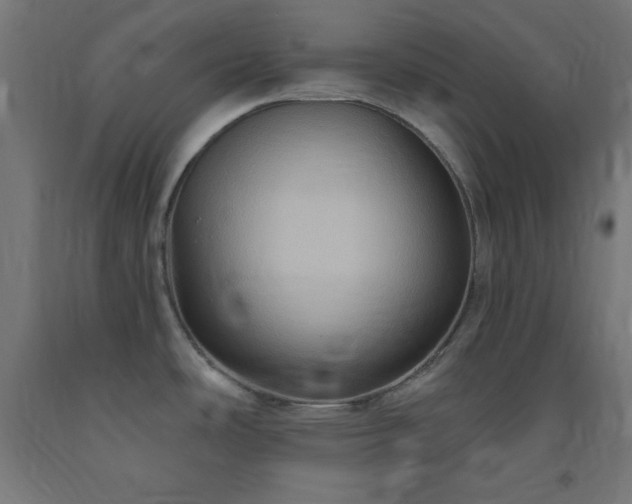 X0000093251486200710031553