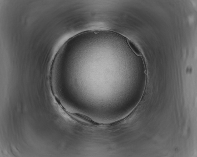 X0000093251488200710031553