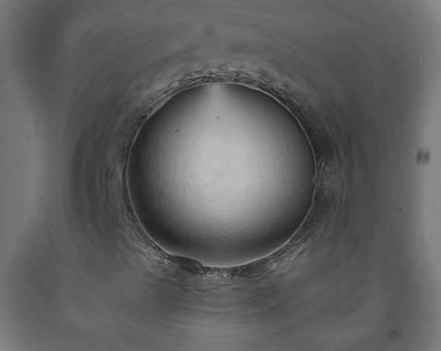 X0000093251489200710031552