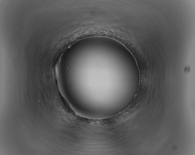 X0000093251490200710031552