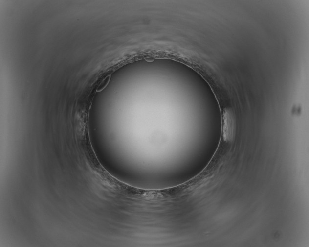 X0000093251491200710031552