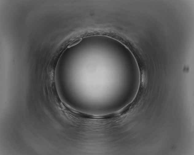 X0000093251492200710031552