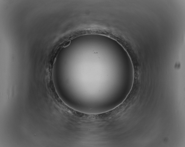 X0000093251493200710031552