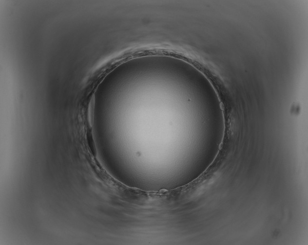 X0000093251494200710031552