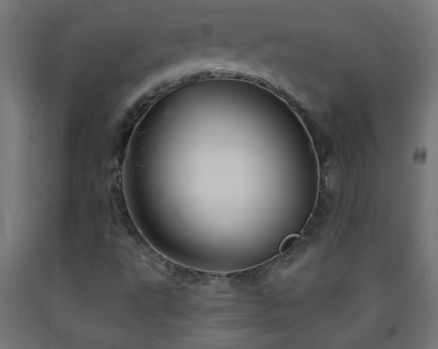 X0000093251495200710031552