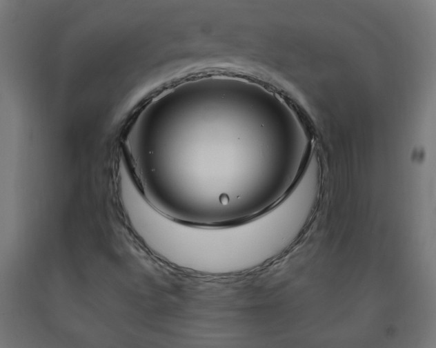 X0000093251496200710031552