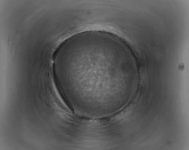 X0000093251497200710031552