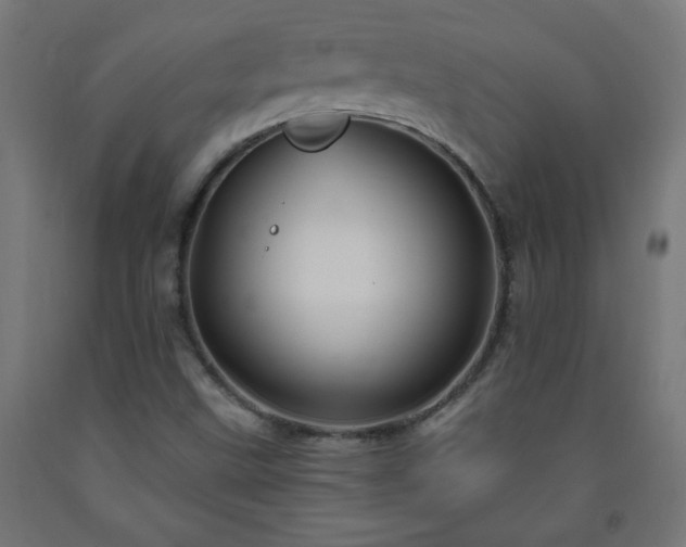 X0000093251499200710031552