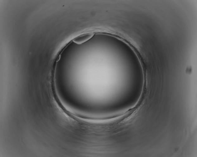 X0000093251500200710031552