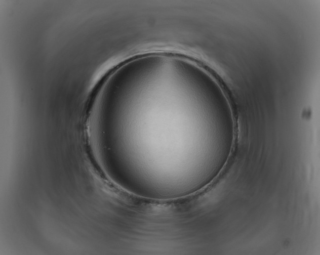 X0000093251501200710031552