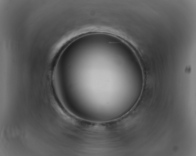 X0000093251503200710031552