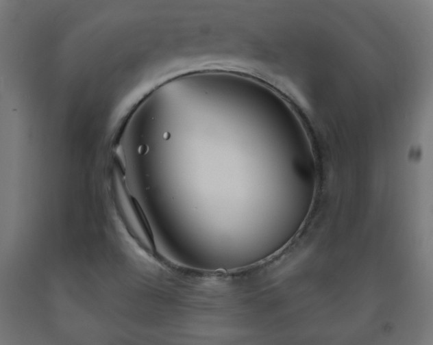 X0000093251504200710031552