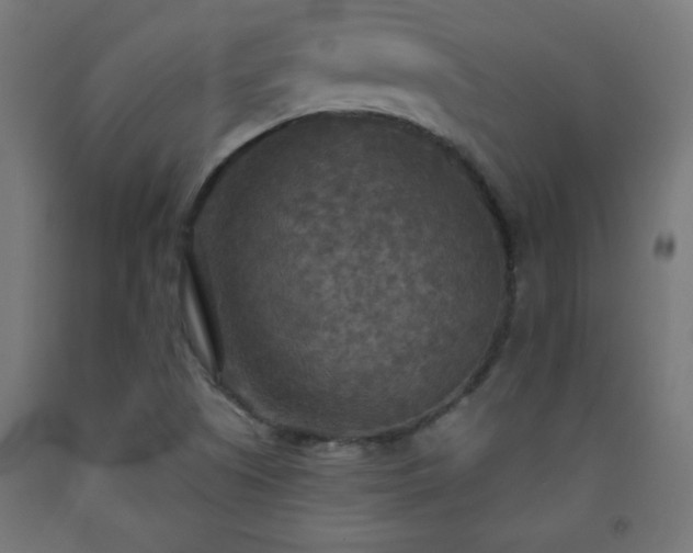 X0000093251505200710031552