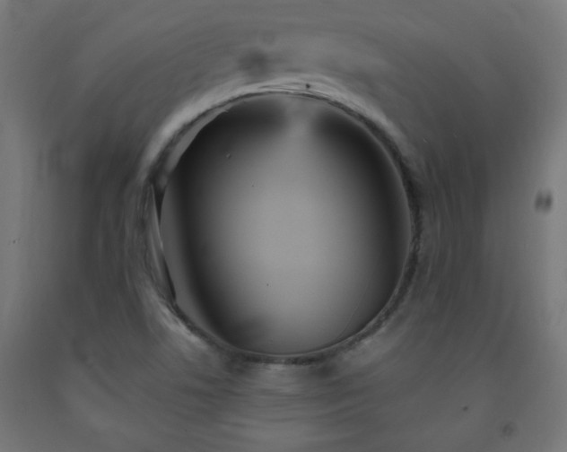 X0000093251506200710031552