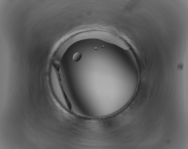 X0000093251508200710031552