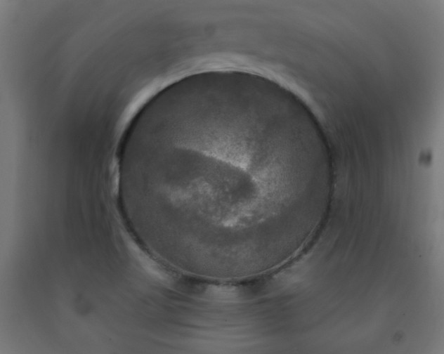 X0000093251509200710031552