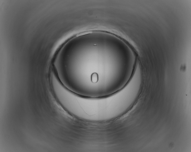 X0000093251510200710031552