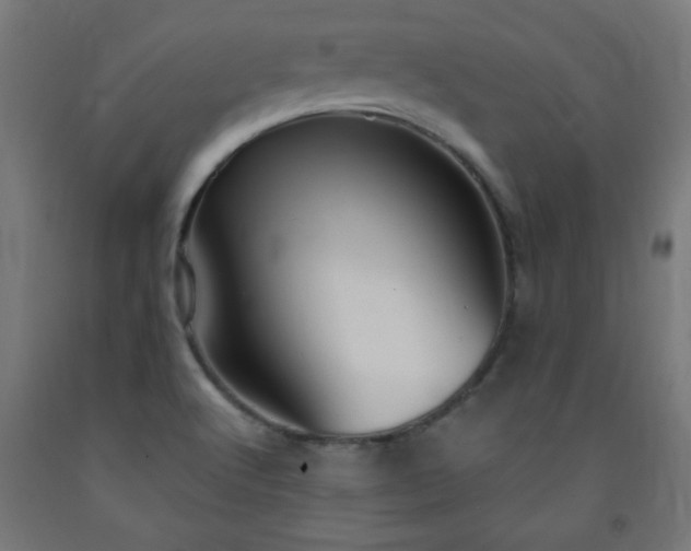 X0000093251512200710031552