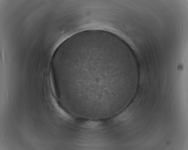 X0000093251513200710031552