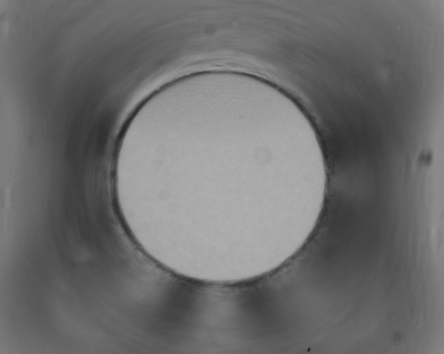 X0000093251514200710031552