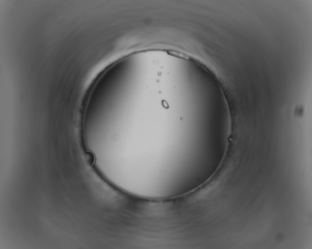 X0000093251518200710031553