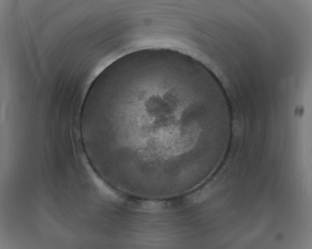 X0000093251521200710031553