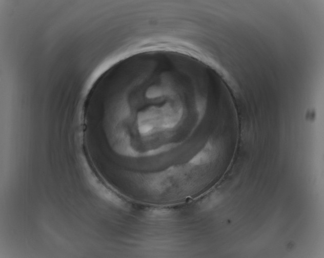 X0000093251522200710031553