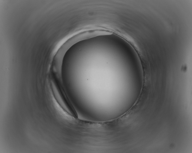 X0000093251524200710031553