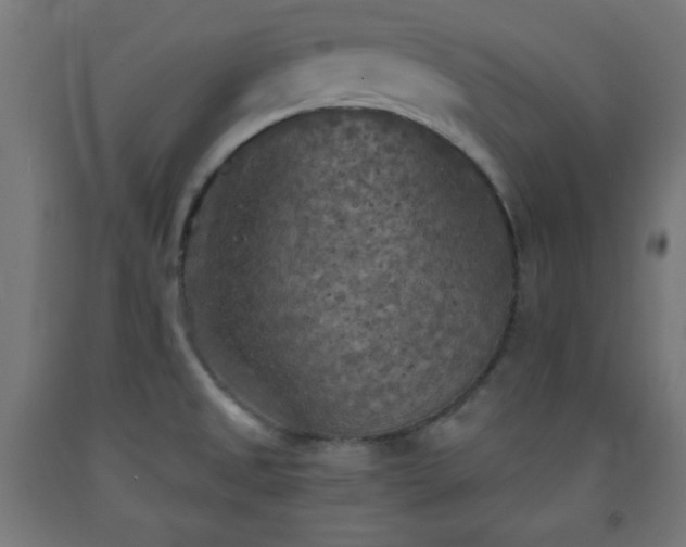 X0000093251525200710031553