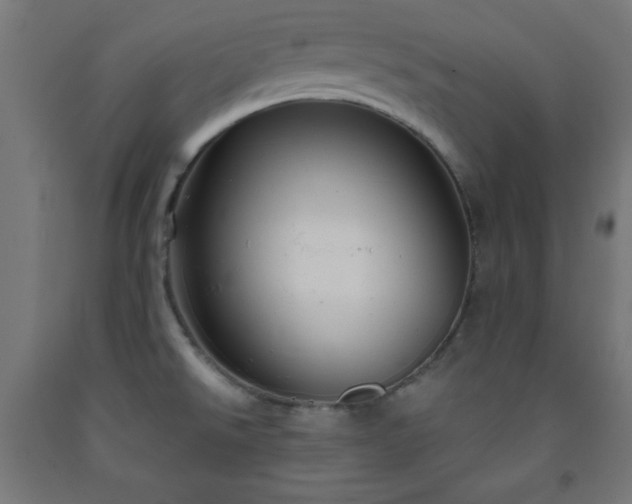 X0000093251526200710031553