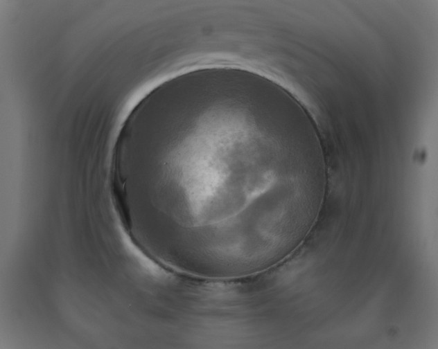 X0000093251527200710031553