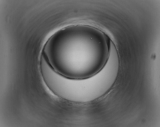 X0000093251528200710031553