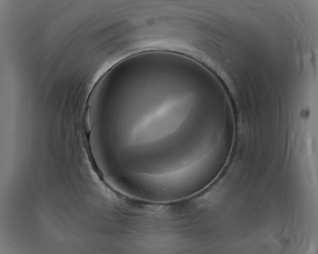 X0000093251529200710031553