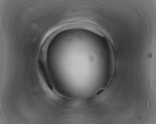 X0000093251530200710031553