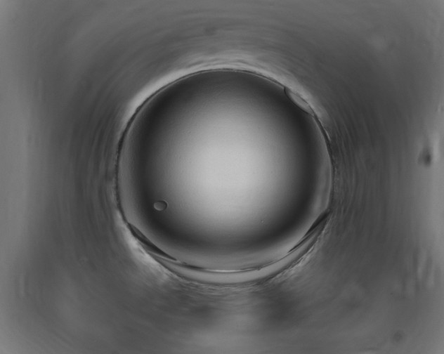 X0000093251534200710031553